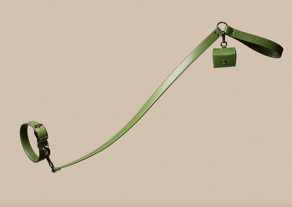 Forest green vegan apple leather dog collar