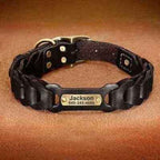 Didog Personalised Leather Dog Collar