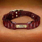 Didog Personalised Leather Dog Collar