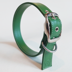 Forest green vegan apple leather dog collar