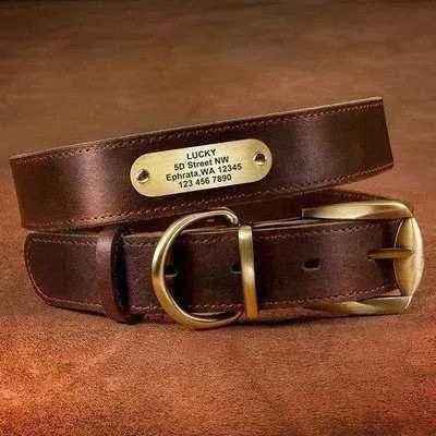 Royal Canine Elegance Personalised Leather Dog Collar & Leash Set 🐾